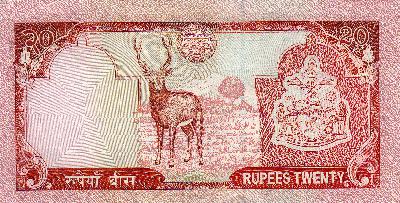 Beschrijving achterzijde: DEER